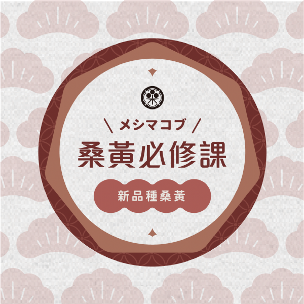 桑黃必修課-新品種桑黃 桑黃必修課-新品種桑黃